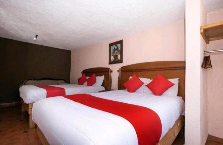 Hotel Real Cortes ミネラル・デル・モンテ エクステリア 写真